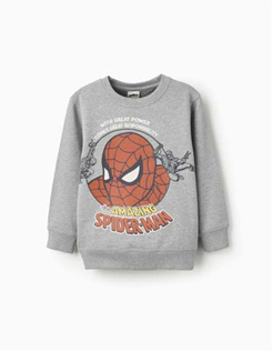 Zippy Sm Sweatshirt Grey (31065552020) Kids