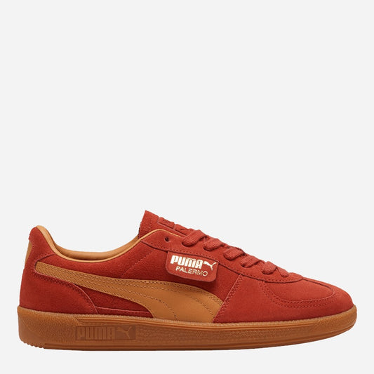 Puma Men trainers and sneakers (39646324)