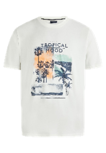 Hechter Paris T-Shirt Print Offwhite (75019-131929-60) Men