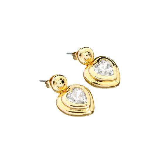 Chiara Ferragni Earrings (J19AXP04) Women