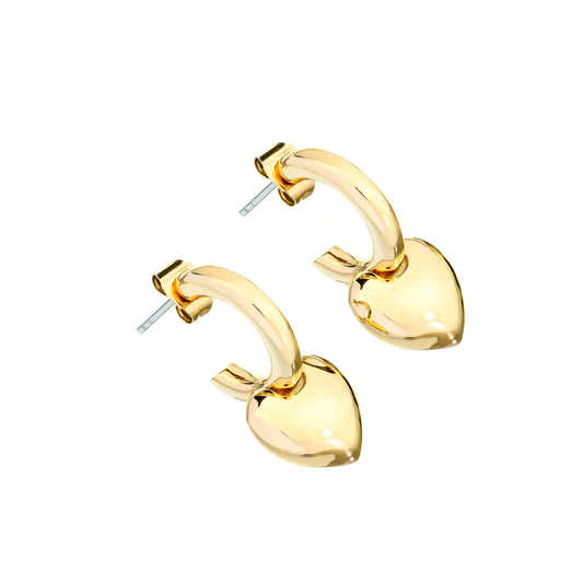 Chiara Ferragni Earrings (J19AXP06) Women