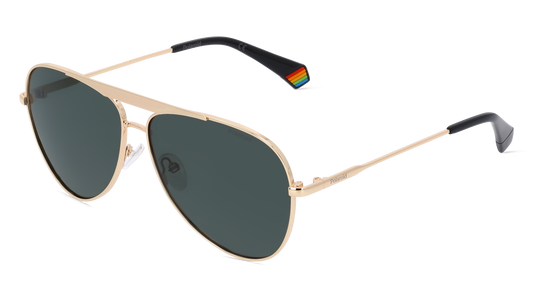 Polaroid Sunglasses (PLD6200SXJ5GG) Unisex