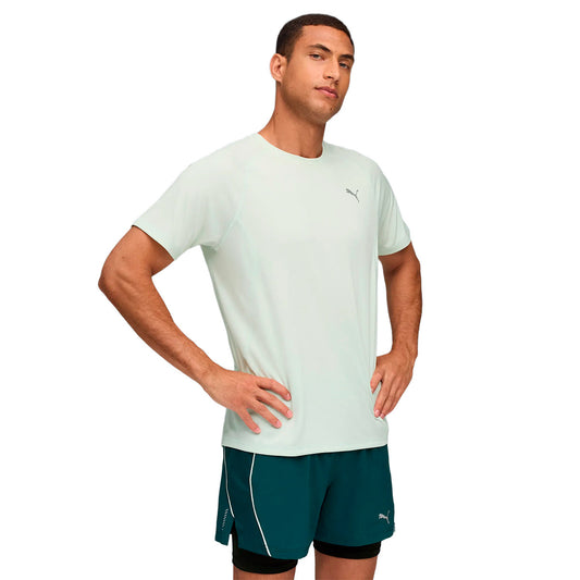 Puma Run Velocity sage frost (526600-99) Men
