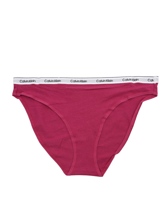 Calvin Klein Womens Bikini 000QD5044EKO2 Purple