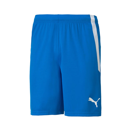Puma Shorts teamLIGA (704924) Men