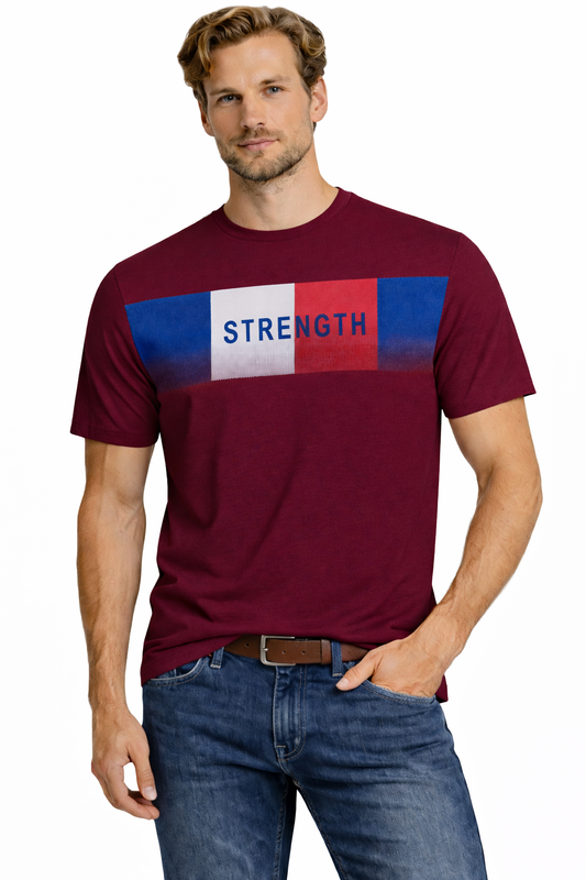 JUMPER T SHIRT T Shirt 3020 BURGUNDY (9137) Men